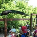 phoca_thumb_m_horeky  21 Fotogalerie